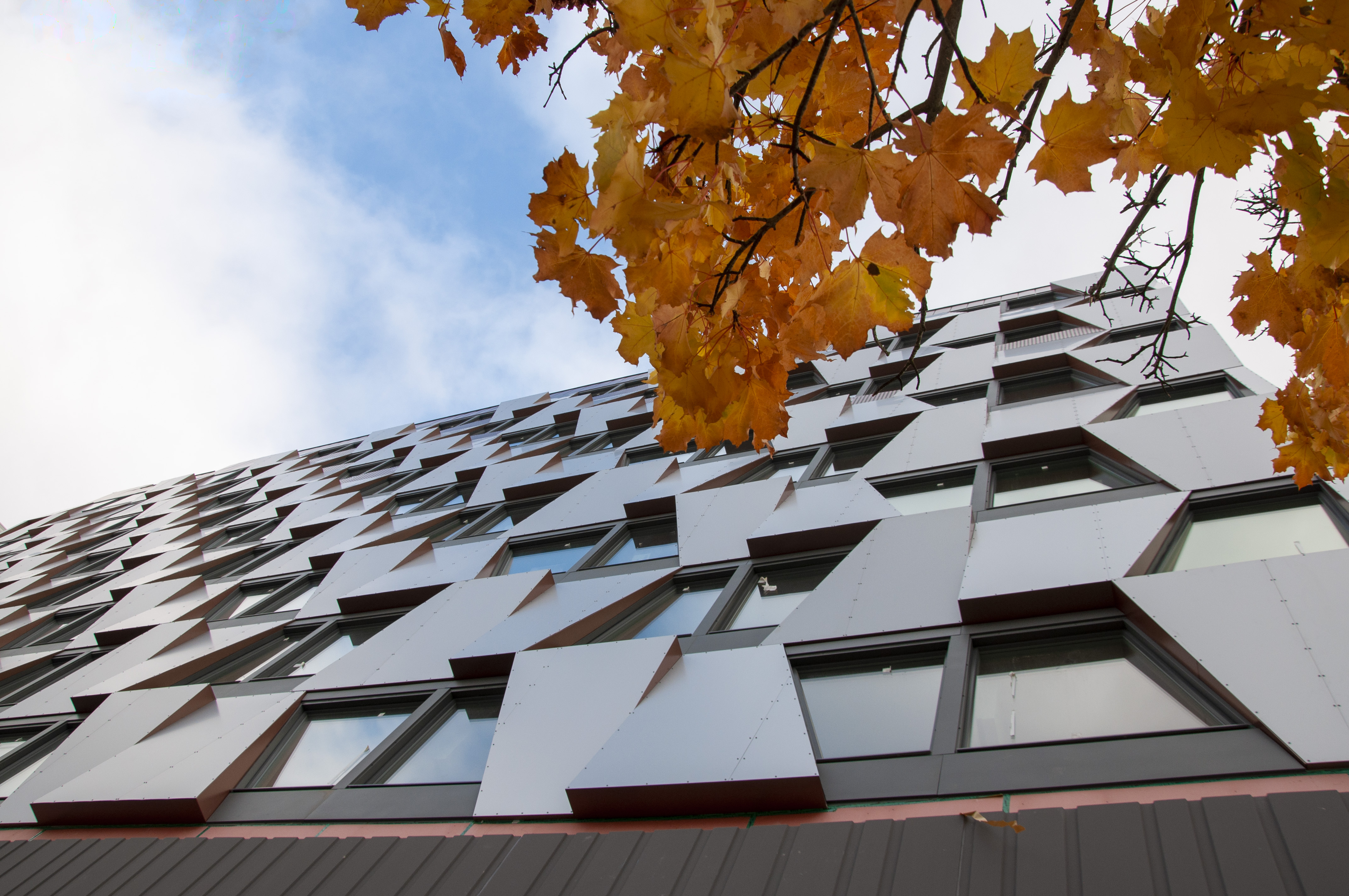 Årsredovisning 2018